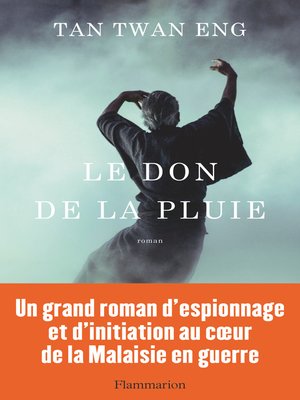 cover image of Le don de la pluie